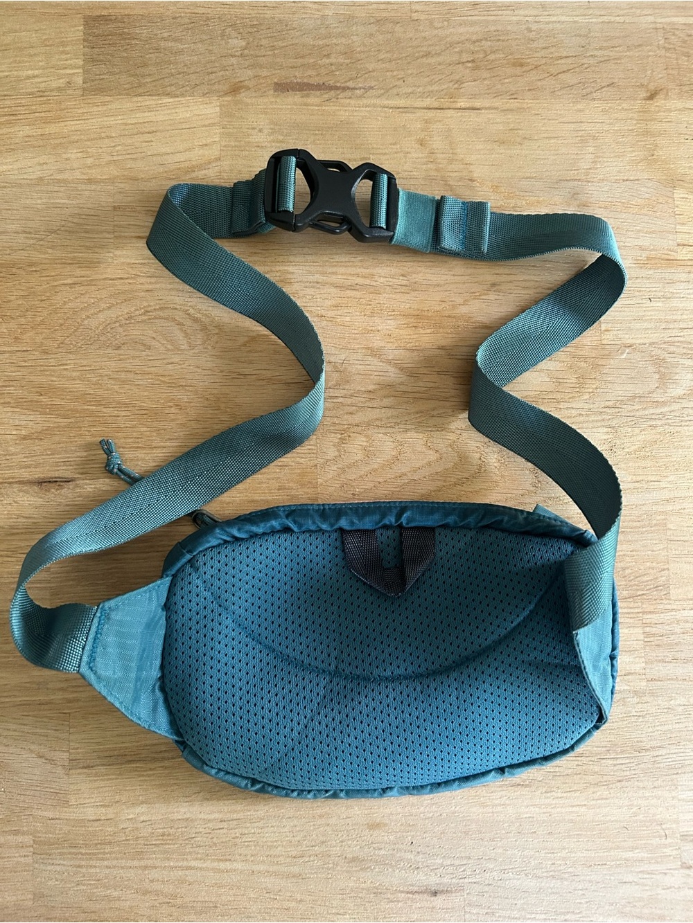 Patagonia Teal Waist Pack with Coral Zippers and Adjustable Strap - Picture 2 of 3